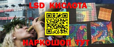 амф Донской