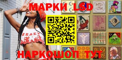 амф Донской