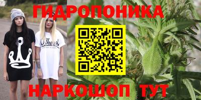 амф Донской