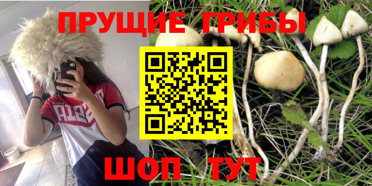 Псилоцибиновые грибы Magic Shrooms Мценск